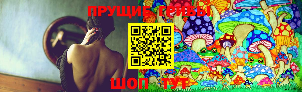 Екатеринбург  Псилоцибиновые грибы ЛСД  Вход с VPN 