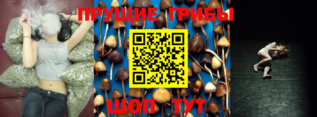 Псилоцибиновые грибы прущие грибы Екатеринбург